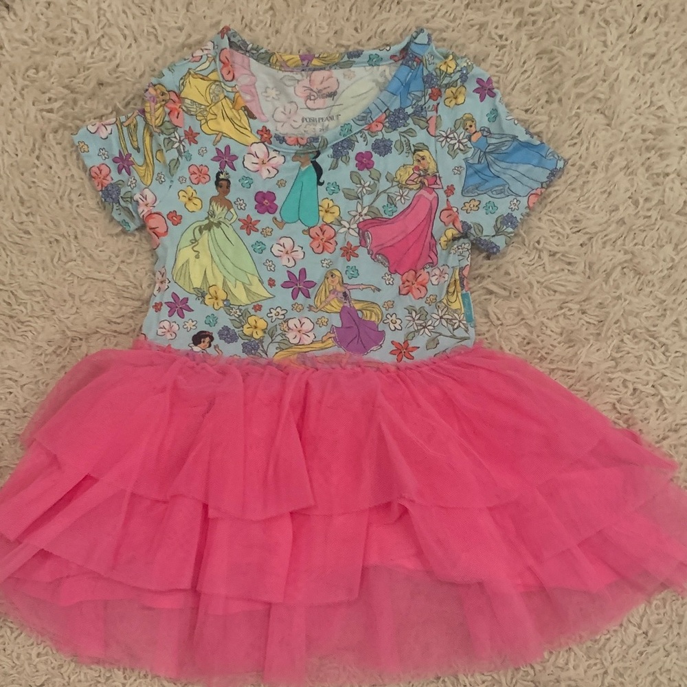 Posh Peanut Disney Princess Tulle Dress